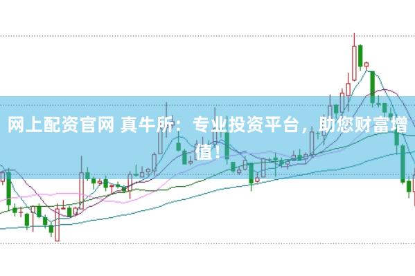 网上配资官网 真牛所：专业投资平台，助您财富增值！